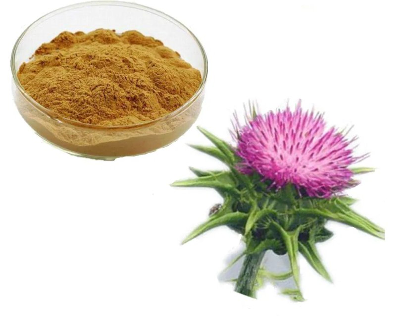 Product Descrption-Silymarin Powder Product Descrption-Silymarin Powder