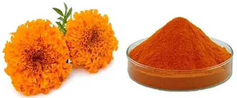 Is Natural Zeaxantin Powder Suitable for Premium Supplements? Is Natural Zeaxantin Powder Suitable for Premium Supplements?