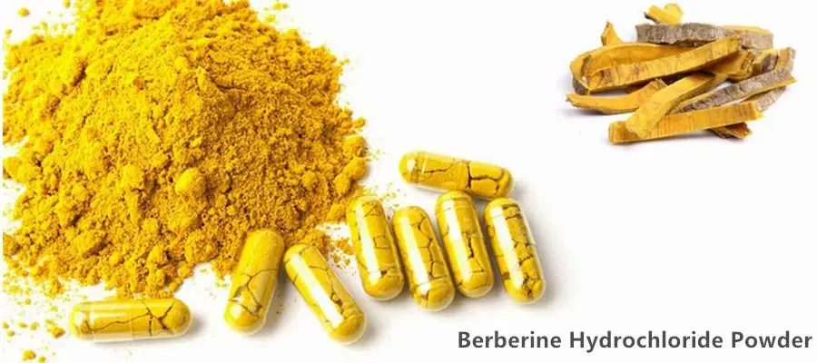 How Does Berberine Chloride Powder Support Modern Nutraceutical Development?