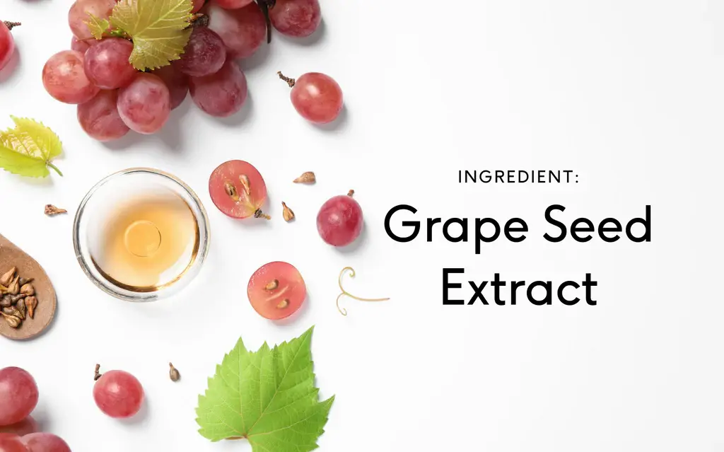 How to Choose a Grape Seed Extract Powder Supplier?