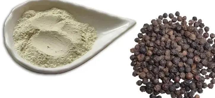 Top 7 Uses of Piperine Extract Powder in Supplements