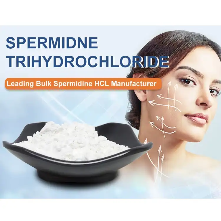 Where Can You Source Reliable Spermidine Trihydrochloride Powder?