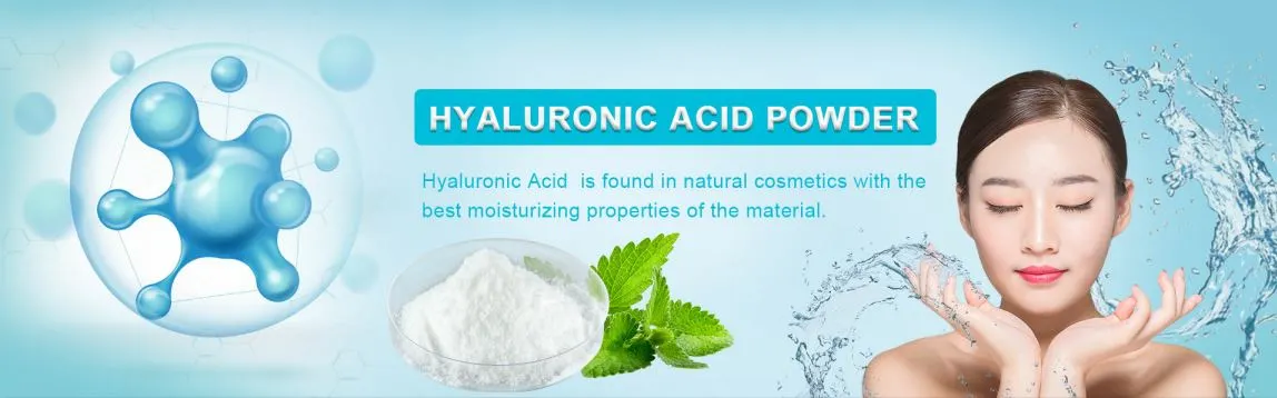 How to Choose premium hyaluronic acid powder Suppliers? How to Choose premium hyaluronic acid powder Suppliers?