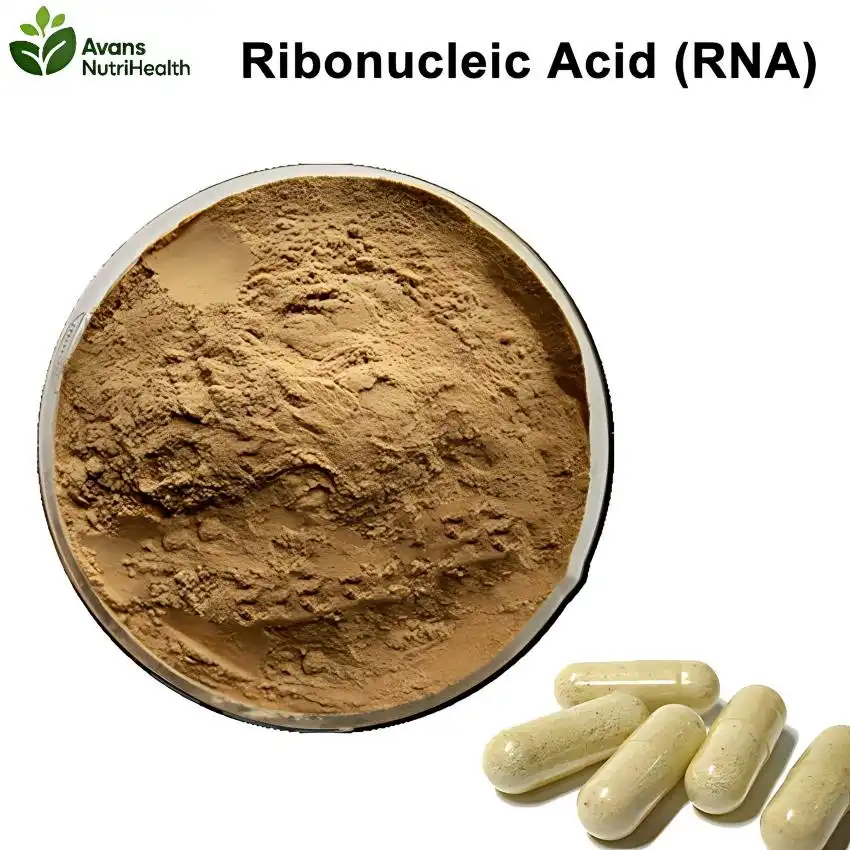 How Does Ribonucleic Acid Powder Support Cellular Function?