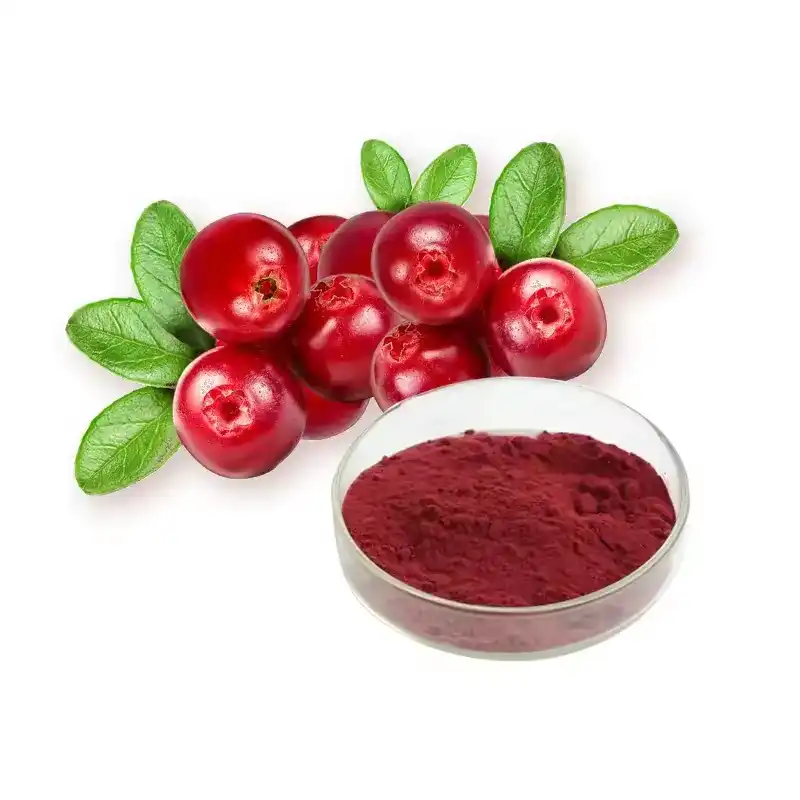 Cranberry Fruit Extract Powder for Urinary Tract Health Support