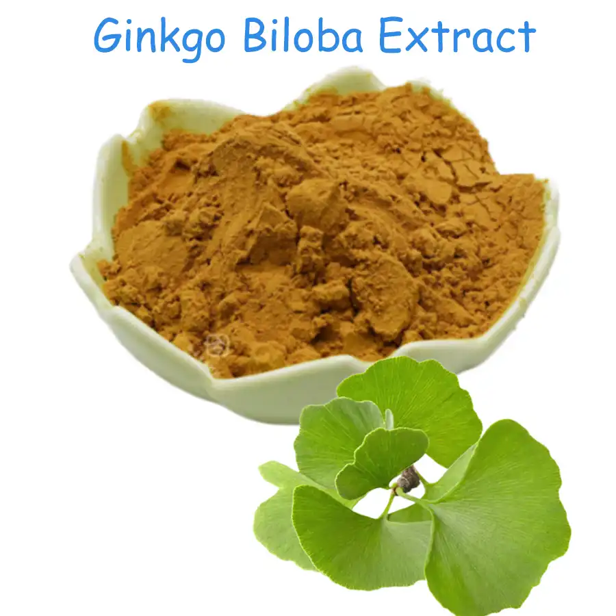 Can Ginkgo Biloba Extract Powder Support Healthy Circulation?