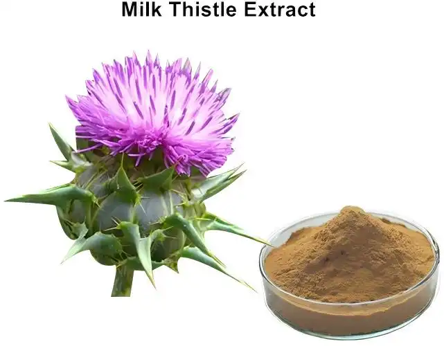 Top Benefits of Milk Thistle Extract Powder for Liver Health