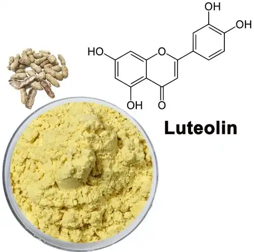 Can Luteolin Powder Help Regulate Blood Sugar and Cholesterol?