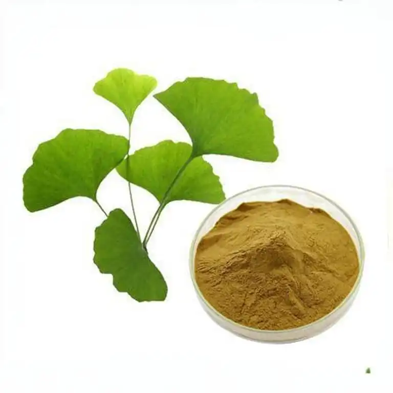 Why Is Ginkgo Biloba Extract Powder Used in Nootraceuticals?